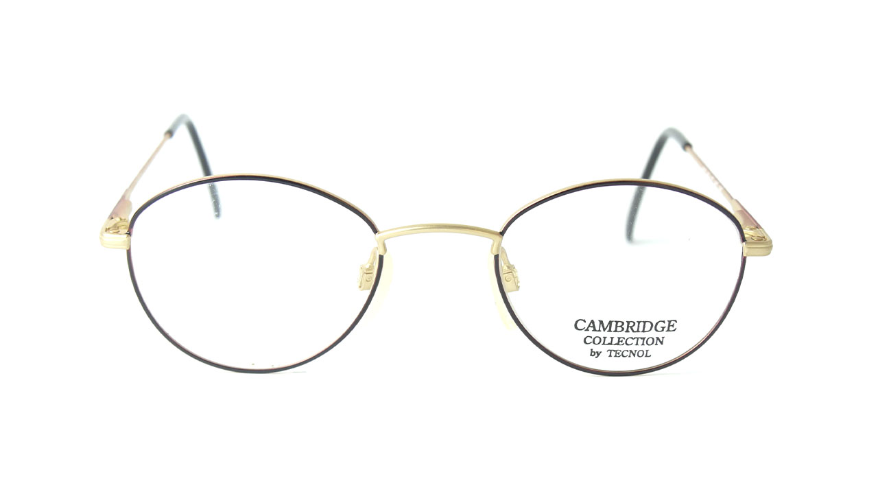 Cambridge dorado y marrón 4153 114